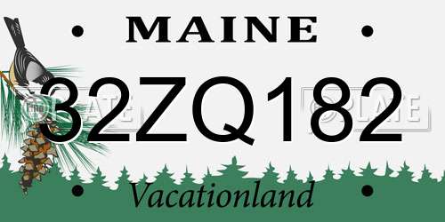 32ZQ182 Maine License Plate