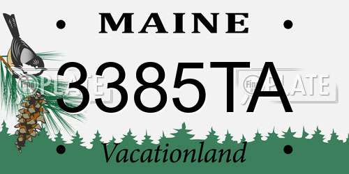 3385TA Maine License Plate