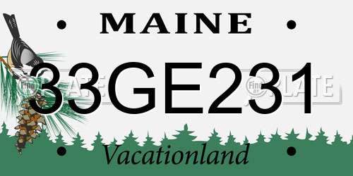 33GE231 Maine License Plate