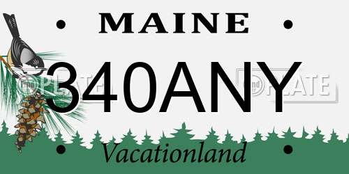 340ANY Maine License Plate