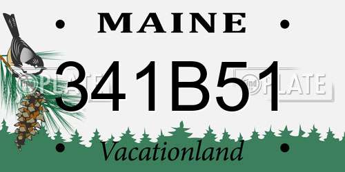 341B51 Maine License Plate