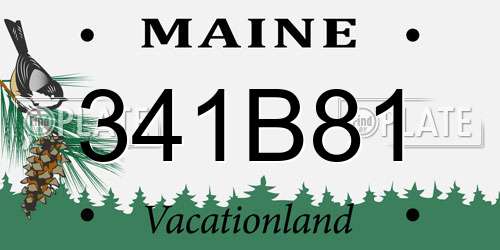 341B81 Maine License Plate