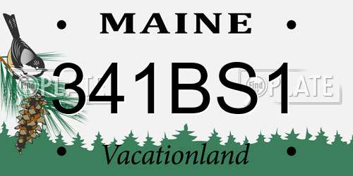 341BS1 Maine License Plate
