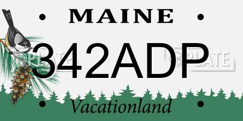 342ADP Maine License Plate