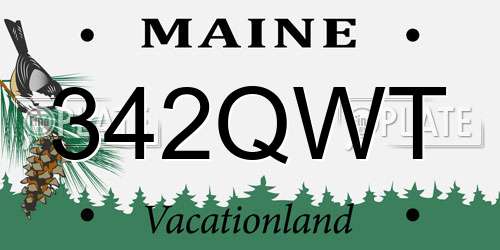 342QWT Maine License Plate