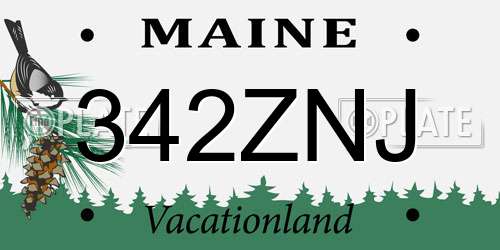 342ZNJ Maine License Plate