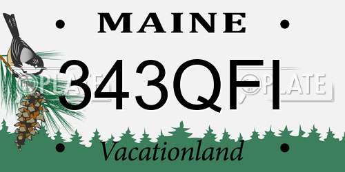 343QFI Maine License Plate