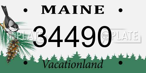 34490 Maine License Plate