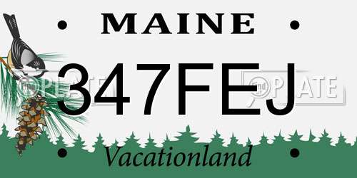 347FEJ Maine License Plate