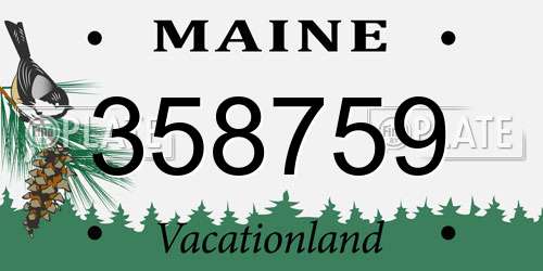 358759 Maine License Plate