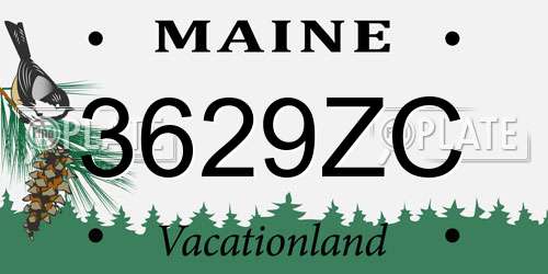 3629ZC Maine License Plate