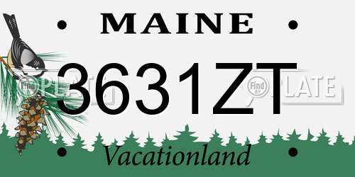 3631ZT Maine License Plate
