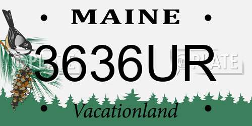 3636UR Maine License Plate