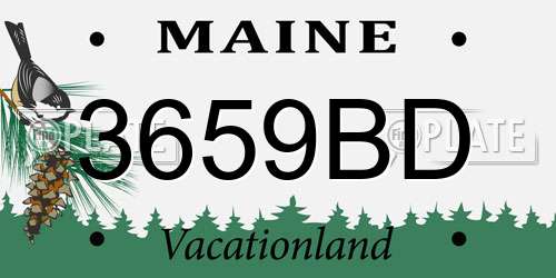3659BD Maine License Plate