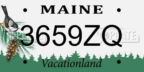 3659ZQ Maine License Plate