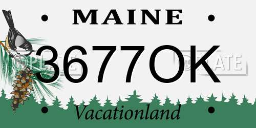 3677OK Maine License Plate