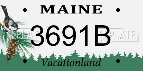 3691B Maine License Plate