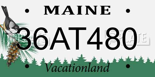 36AT480 Maine License Plate