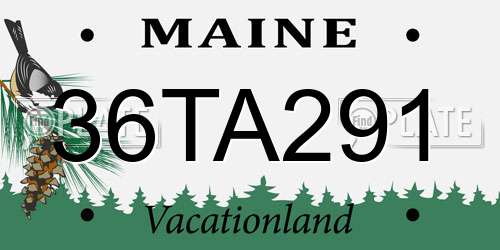 36TA291 Maine License Plate