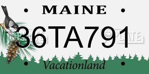 36TA791 Maine License Plate