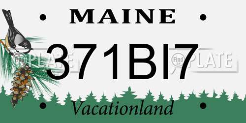 371BI7 Maine License Plate