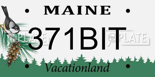 371BIT Maine License Plate