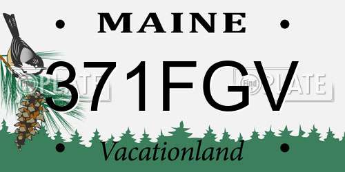 371FGV Maine License Plate
