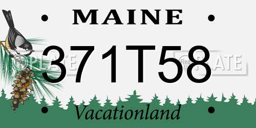 371T58 Maine License Plate