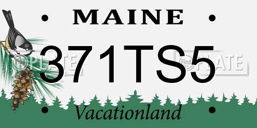 371TS5 Maine License Plate