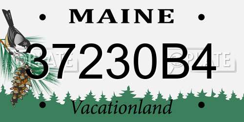 37230B4 Maine License Plate