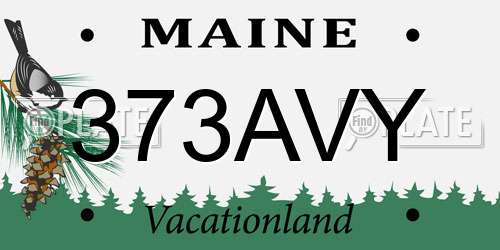 373AVY Maine License Plate
