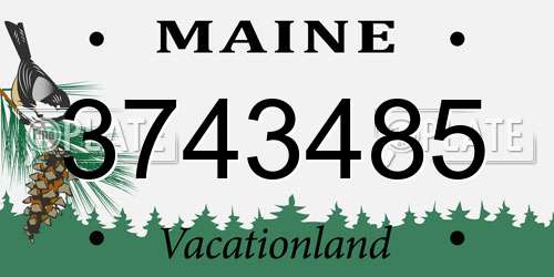 3743485 Maine License Plate