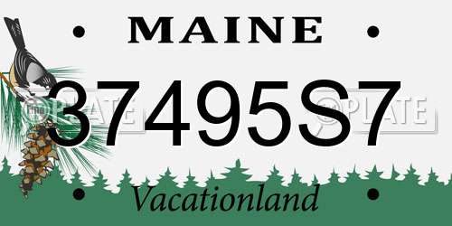 37495S7 Maine License Plate