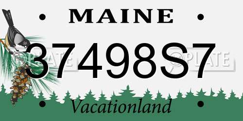 37498S7 Maine License Plate