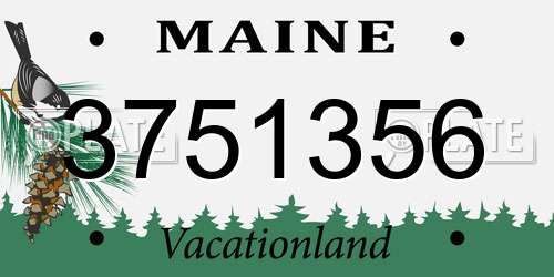 3751356 Maine License Plate