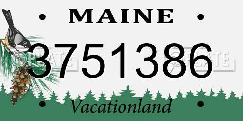 3751386 Maine License Plate