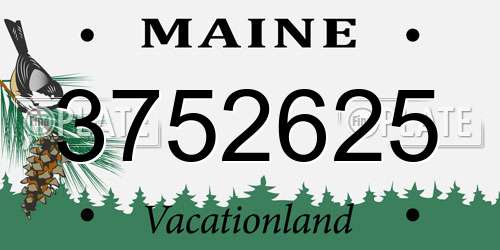 3752625 Maine License Plate