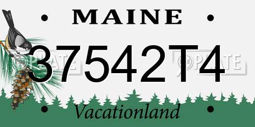 37542T4 Maine License Plate