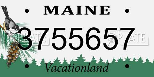 3755657 Maine License Plate