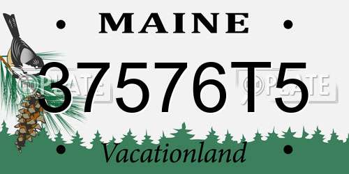 37576T5 Maine License Plate