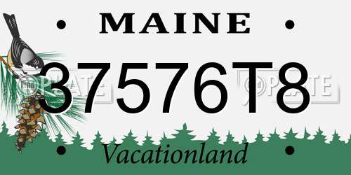 37576T8 Maine License Plate