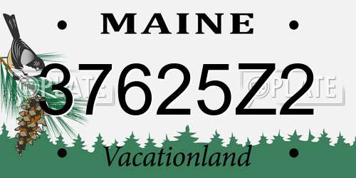 37625Z2 Maine License Plate