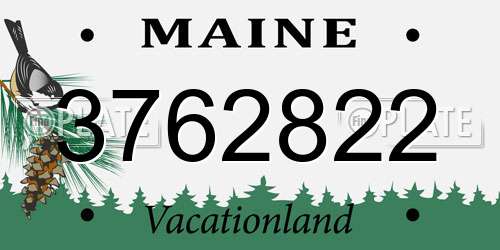3762822 Maine License Plate