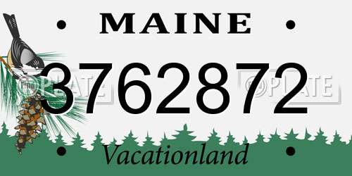 3762872 Maine License Plate