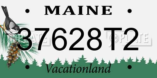 37628T2 Maine License Plate