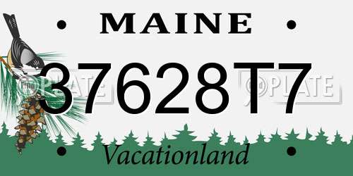 37628T7 Maine License Plate