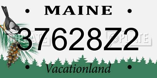37628Z2 Maine License Plate