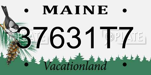 37631T7 Maine License Plate