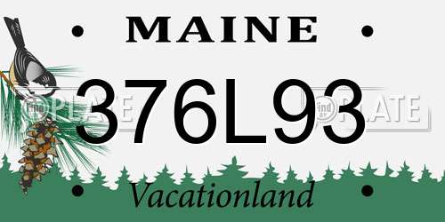376L93 Maine License Plate