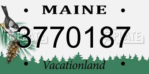 3770187 Maine License Plate